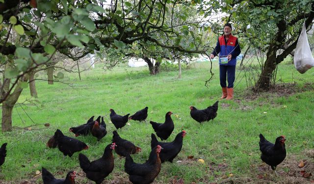 Kırsalda geçim kapısı güçleniyor, istihdam artıyor