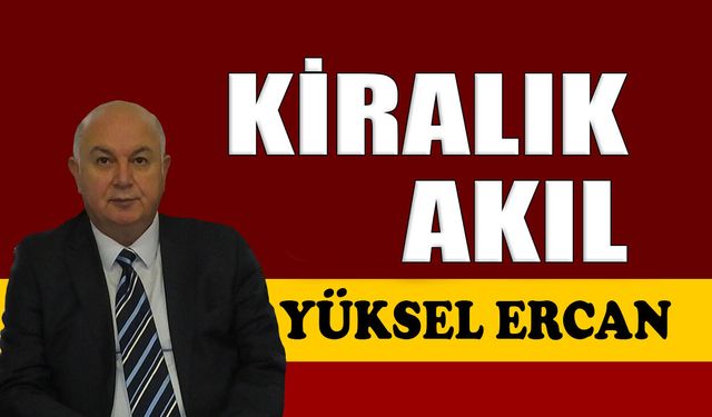 Kiralık akıl