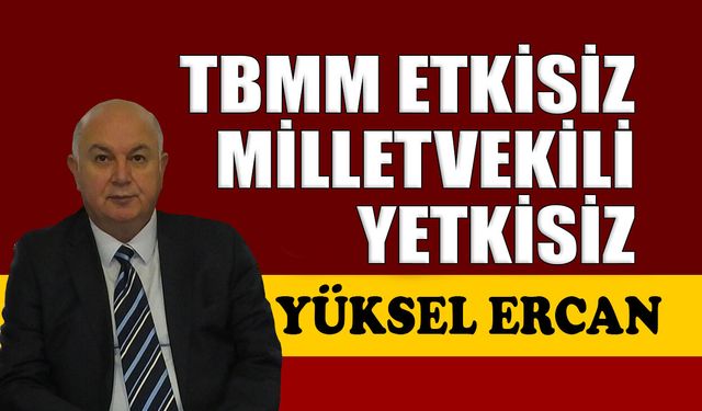 TBMM etkisiz, milletvekili yetkisiz