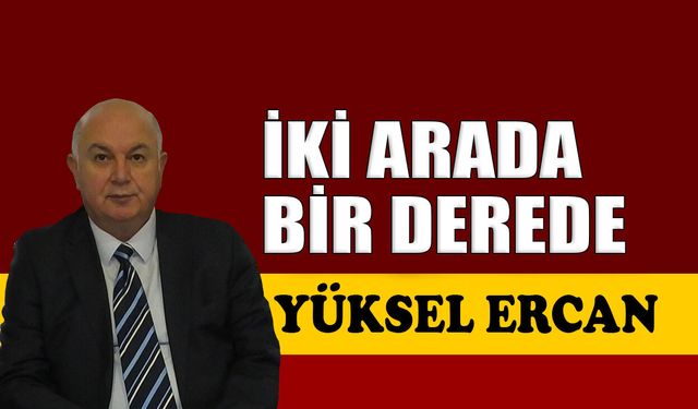 İki arada bir derede