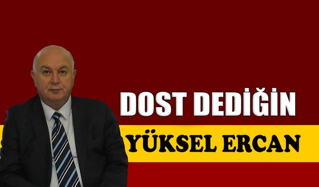 Dost dediğin