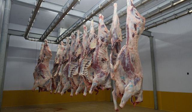 Büyükşehir Mezbahası’nda hijyenik ve helal kesim