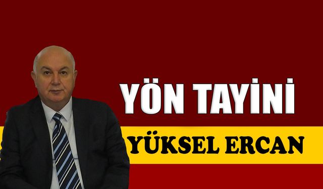 Yön tayini