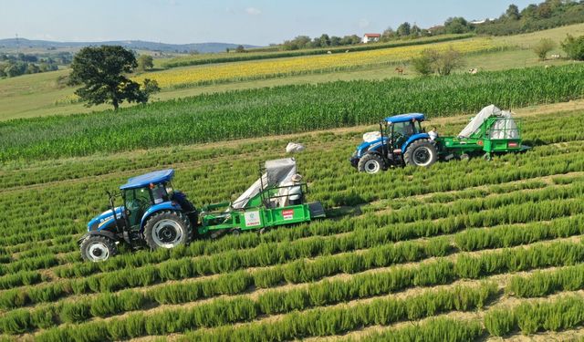 95 projeye 1 milyar 455 milyon TL destek