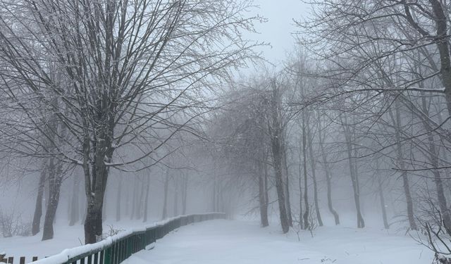Kuzuyayla’da 4 mevsim tek noktada