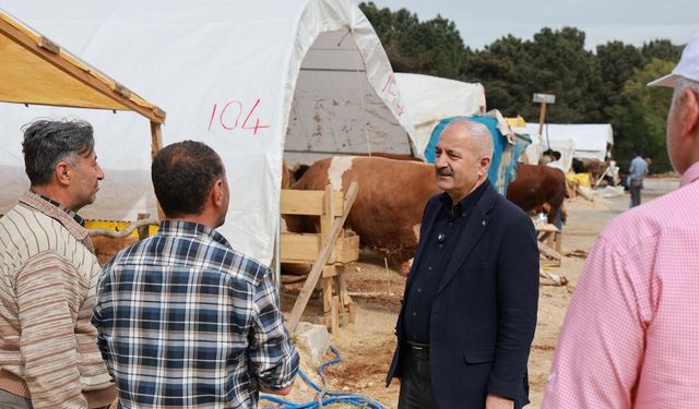 Başkan Büyükgöz kurban pazarı hazırlıklarını yerinde inceledi