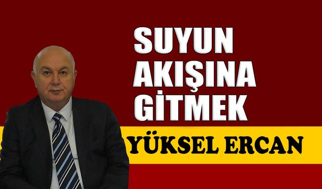 Suyun akışına gitmek