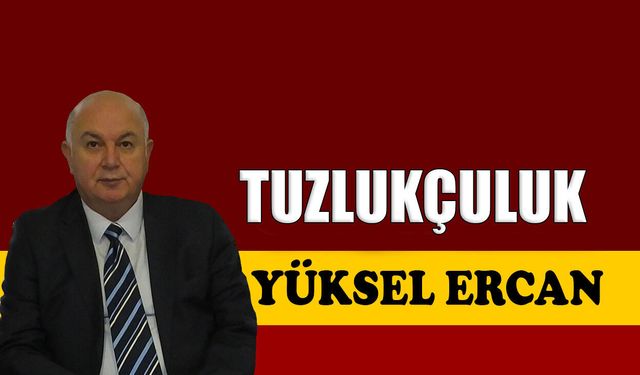 Tuzlukçuluk