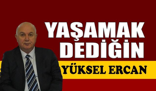 Yaşamak dediğin