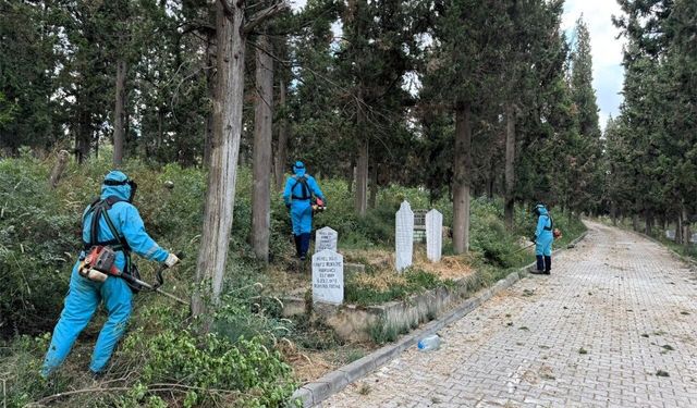 Osmanlı dönemine ait mezar taşları titizlikle korunuyor