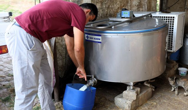 Üreticiye yüzde 50 hibeli süt soğutma tankı desteği