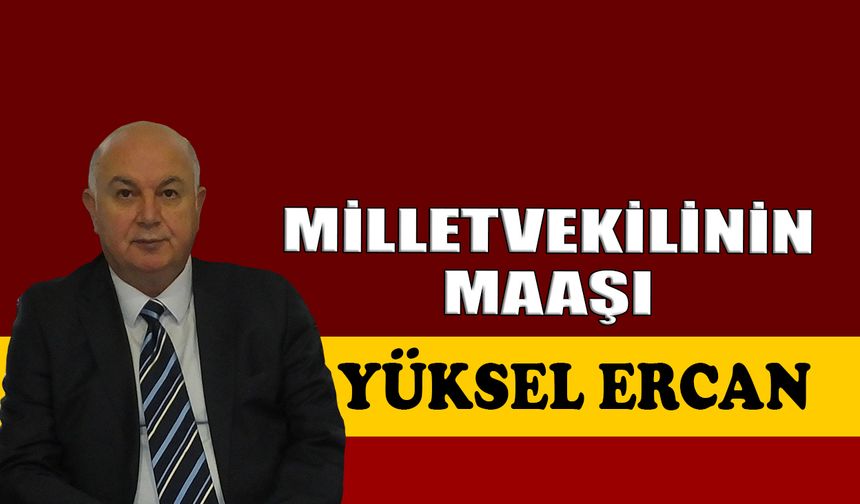 Milletvekilinin maaşı