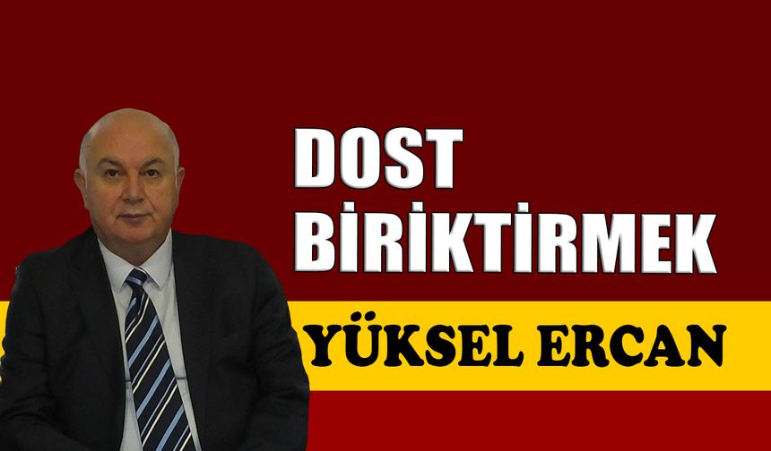 Dost biriktirmek