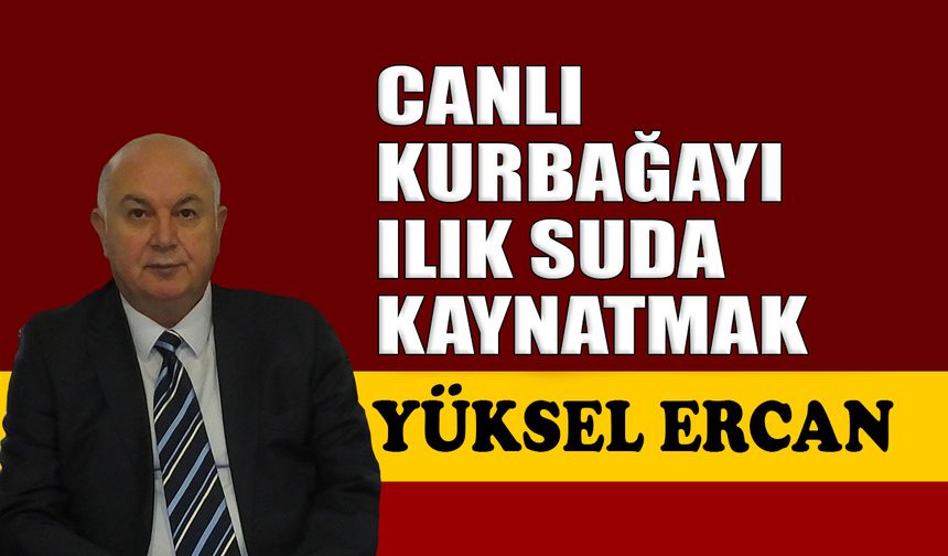 Canlı kurbağayı ılık suda kaynatmak