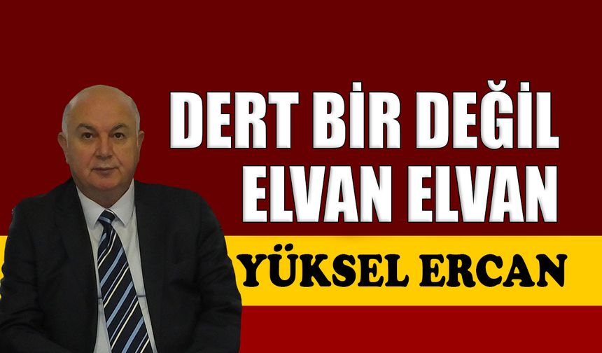 Dert bir değil elvan elvan