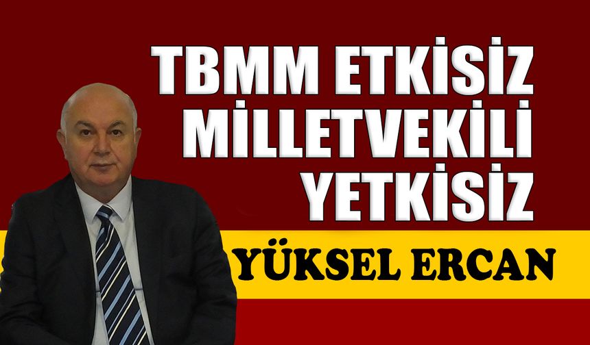 TBMM etkisiz, milletvekili yetkisiz