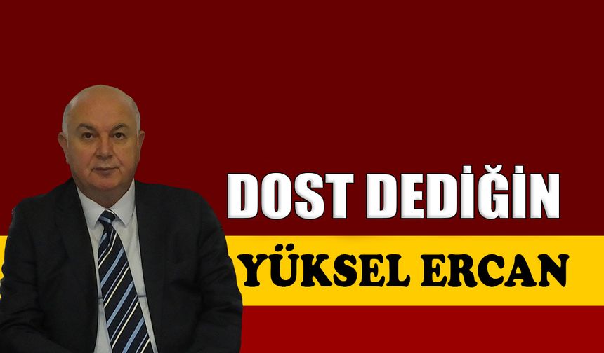 Dost dediğin