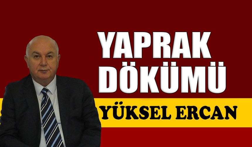 Yaprak dökümü