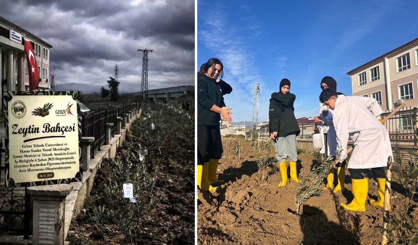 GTÜ, Hatay’da depremde yitirilen öğretmenler için zeytinlik kurdu