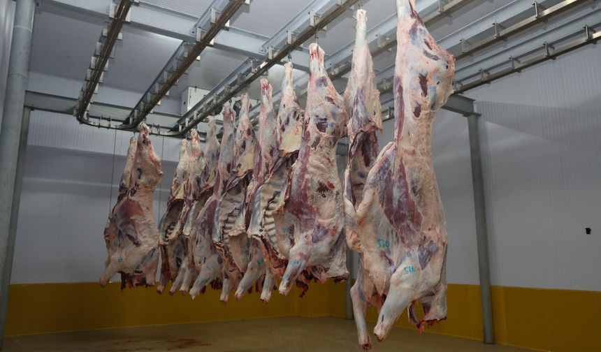 Büyükşehir Mezbahası’nda hijyenik ve helal kesim