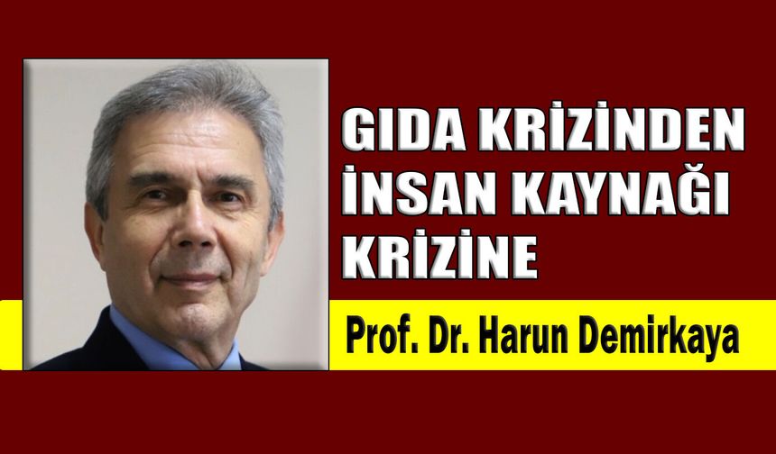Gıda krizinden insan kaynağı krizine