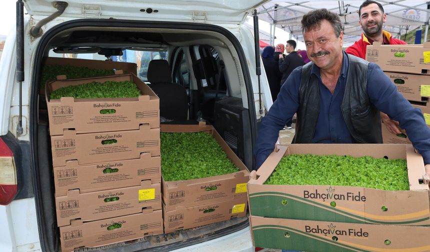 Kocaeli’de çiftçilere sebze fidesi desteği