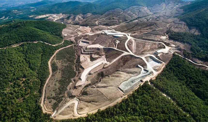 TEMA Vakfı: İklim krizine karşı kaybedecek zamanımız kalmadı