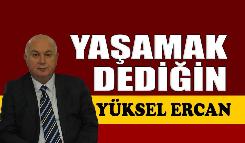 Yaşamak dediğin