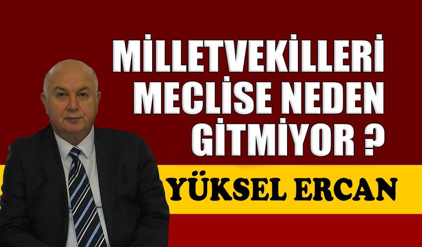 Milletvekilleri Meclis'e neden gitmiyor?
