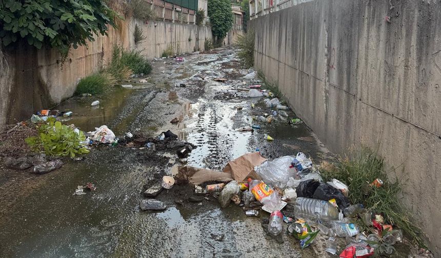 Dere yataklarına atılan atıklar taşkın riskini artırıyor