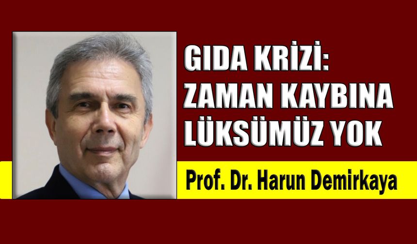Gıda krizi: Zaman kaybına lüksümüz yok