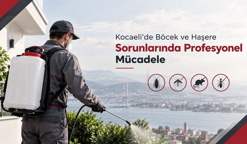 Kocaeli’de böcek ve haşere sorunlarında profesyonel mücadele