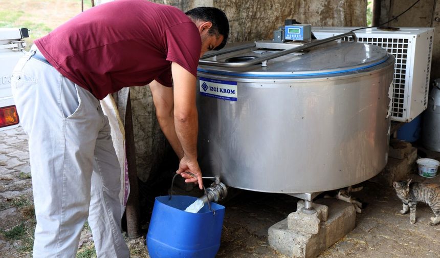 Üreticiye yüzde 50 hibeli süt soğutma tankı desteği
