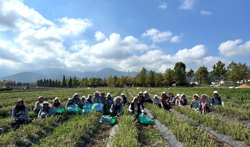 TABİP’te üretimden markalaşmaya uzanan hasat
